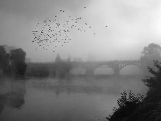 P9268248BW
